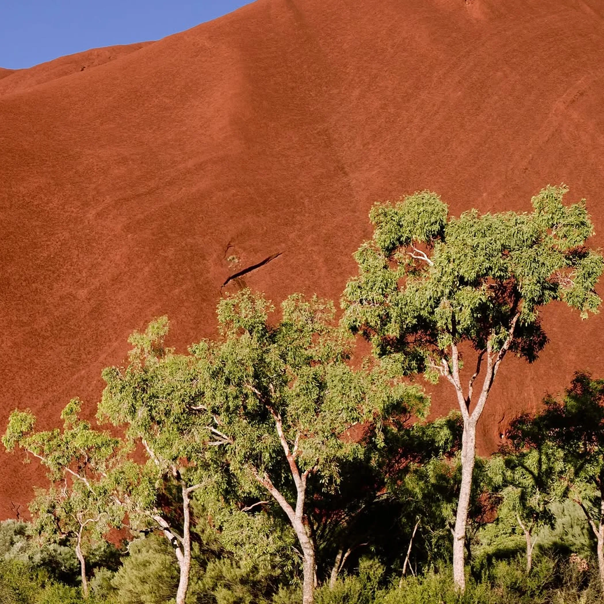 ayers rock resort morning light