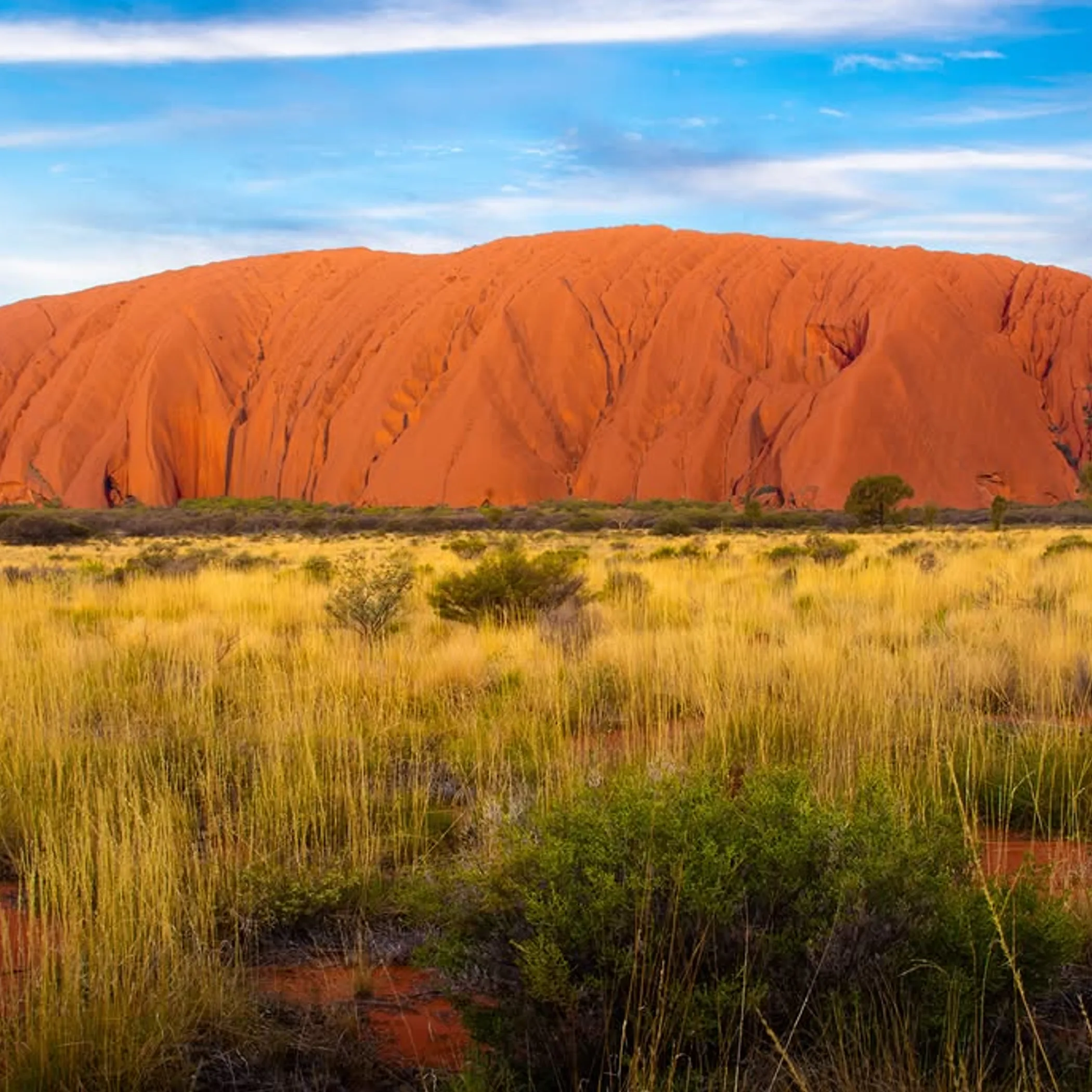 overnight starry sky uluru national park